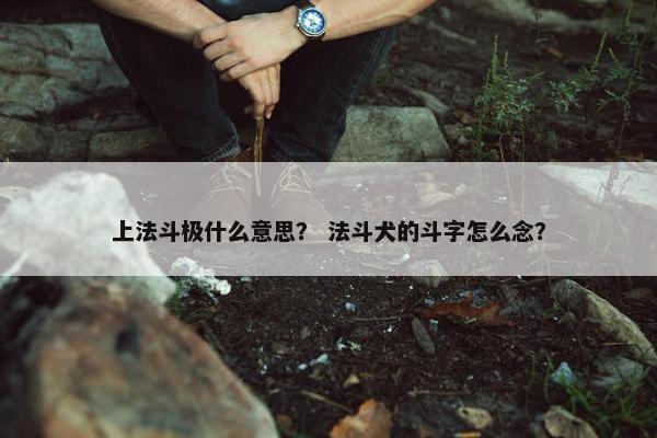 上法斗极什么意思？ 法斗犬的斗字怎么念？
