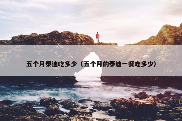 五个月泰迪吃多少（五个月的泰迪一餐吃多少）