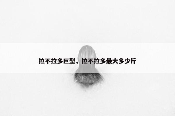 拉不拉多巨型，拉不拉多最大多少斤