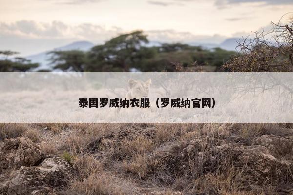泰国罗威纳衣服（罗威纳官网）