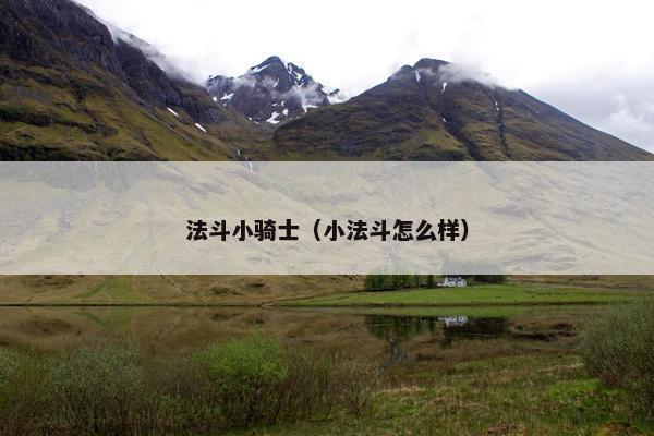 法斗小骑士（小法斗怎么样）