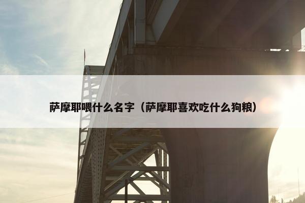 萨摩耶喂什么名字（萨摩耶喜欢吃什么狗粮）