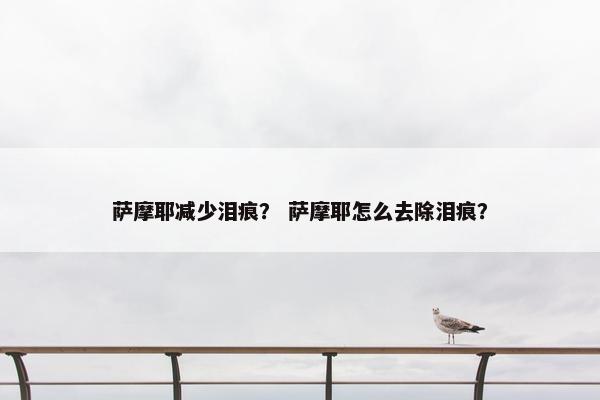萨摩耶减少泪痕？ 萨摩耶怎么去除泪痕？