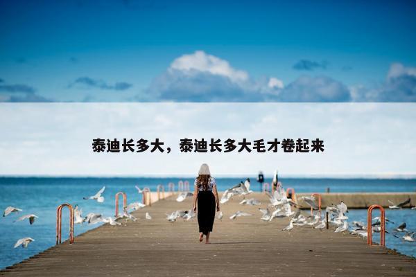 泰迪长多大，泰迪长多大毛才卷起来