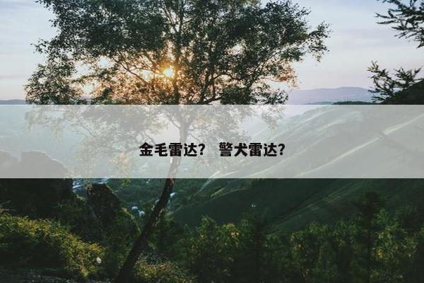 金毛雷达？ 警犬雷达？