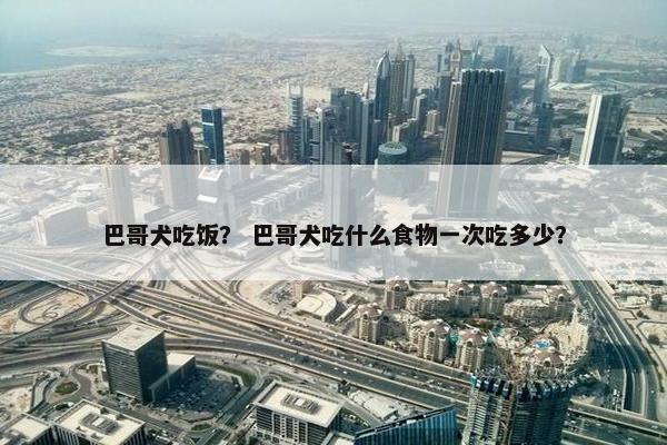 巴哥犬吃饭？ 巴哥犬吃什么食物一次吃多少？