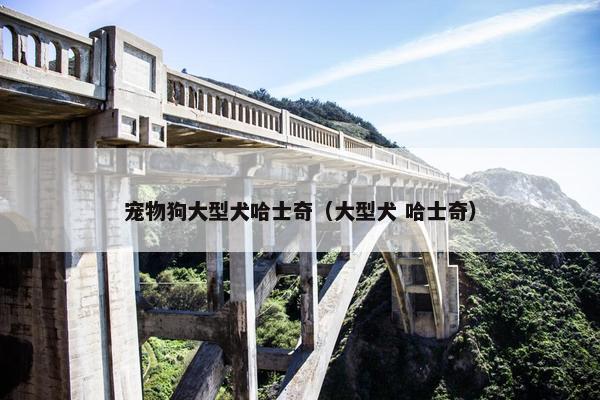 宠物狗大型犬哈士奇（大型犬 哈士奇）