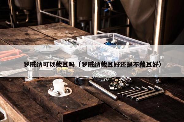 罗威纳可以裁耳吗（罗威纳裁耳好还是不裁耳好）