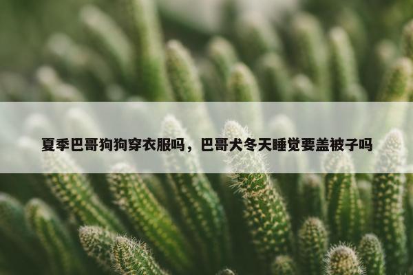 夏季巴哥狗狗穿衣服吗，巴哥犬冬天睡觉要盖被子吗