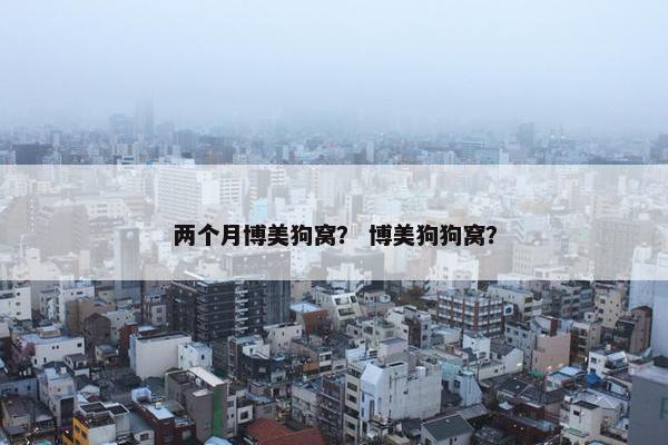 两个月博美狗窝？ 博美狗狗窝？