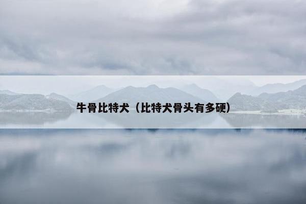 牛骨比特犬（比特犬骨头有多硬）