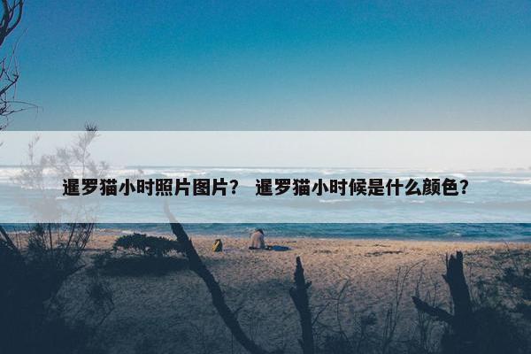 暹罗猫小时照片图片？ 暹罗猫小时候是什么颜色？