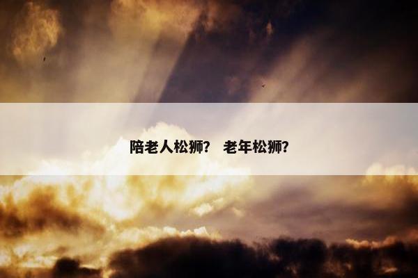 陪老人松狮？ 老年松狮？