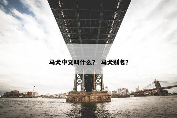 马犬中文叫什么？ 马犬别名？