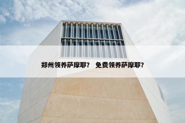 郑州领养萨摩耶？ 免费领养萨摩耶？