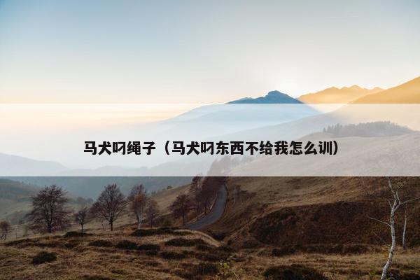 马犬叼绳子（马犬叼东西不给我怎么训）