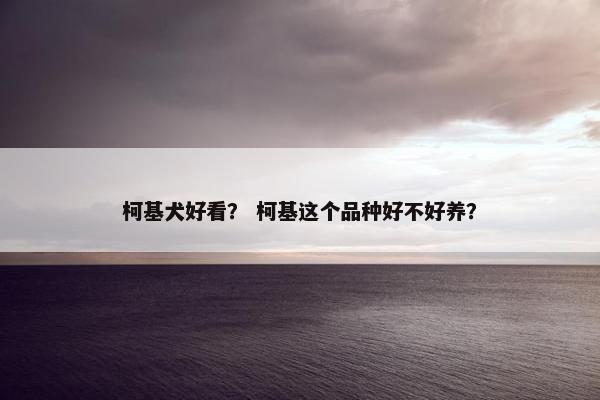 柯基犬好看？ 柯基这个品种好不好养？