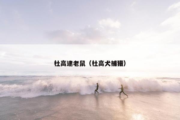 杜高逮老鼠（杜高犬捕猎）