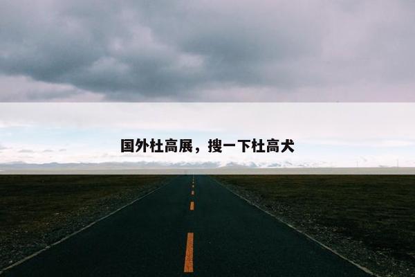 国外杜高展，搜一下杜高犬