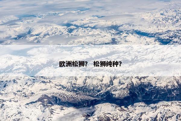 欧洲松狮？ 松狮纯种？