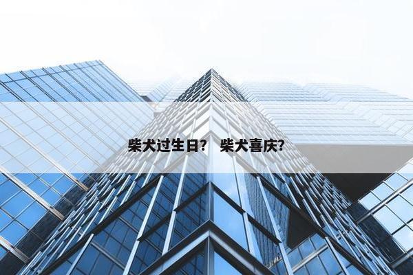 柴犬过生日？ 柴犬喜庆？