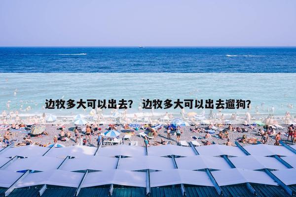 边牧多大可以出去？ 边牧多大可以出去遛狗？