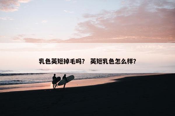 乳色英短掉毛吗？ 英短乳色怎么样？