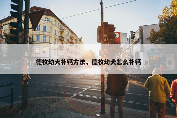 德牧幼犬补钙方法，德牧幼犬怎么补钙