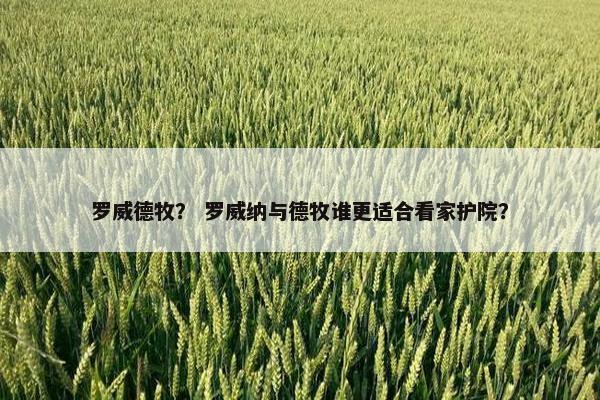 罗威德牧？ 罗威纳与德牧谁更适合看家护院？
