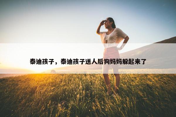 泰迪孩子，泰迪孩子送人后狗妈妈躲起来了