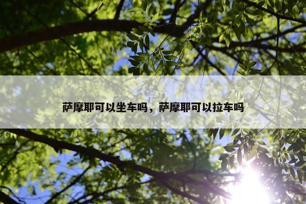 萨摩耶可以坐车吗，萨摩耶可以拉车吗