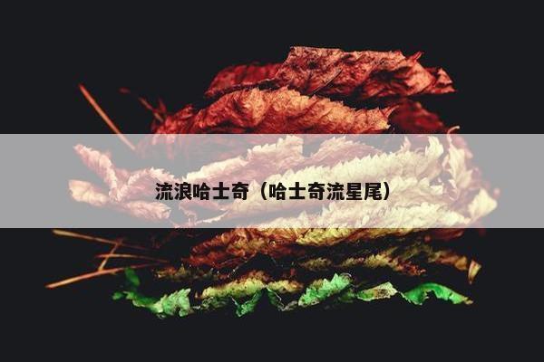 流浪哈士奇（哈士奇流星尾）