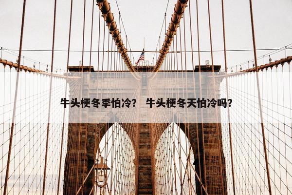牛头梗冬季怕冷？ 牛头梗冬天怕冷吗？