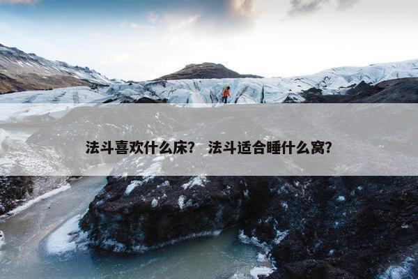 法斗喜欢什么床？ 法斗适合睡什么窝？