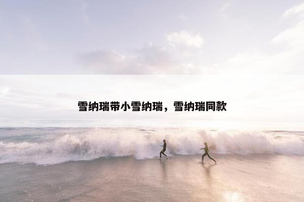 雪纳瑞带小雪纳瑞，雪纳瑞同款