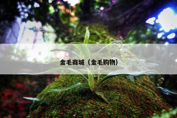 金毛商城（金毛购物）
