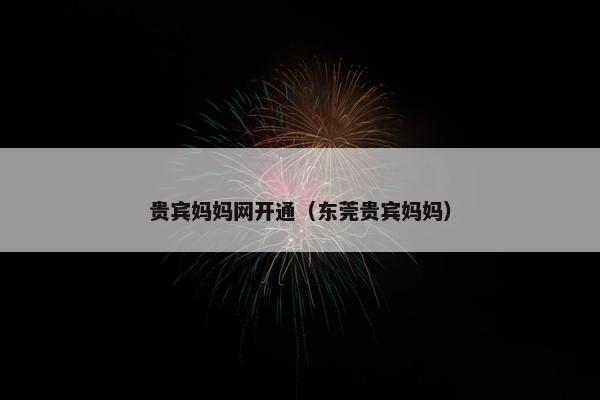 贵宾妈妈网开通（东莞贵宾妈妈）