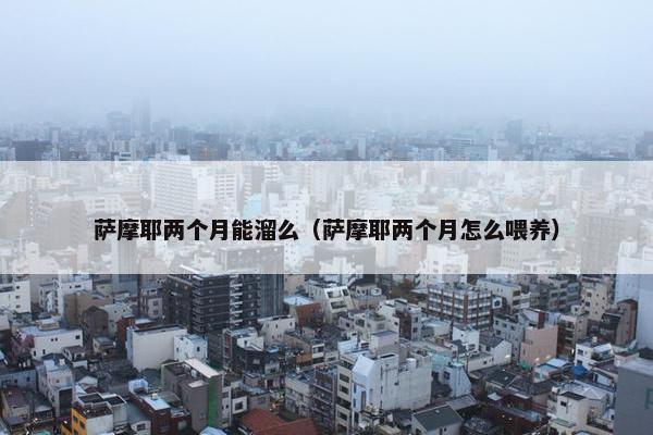 萨摩耶两个月能溜么（萨摩耶两个月怎么喂养）