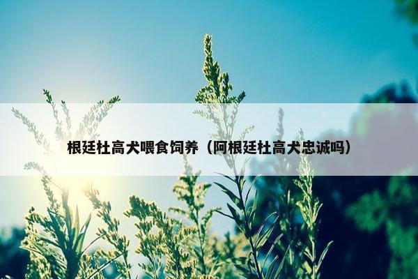 根廷杜高犬喂食饲养（阿根廷杜高犬忠诚吗）