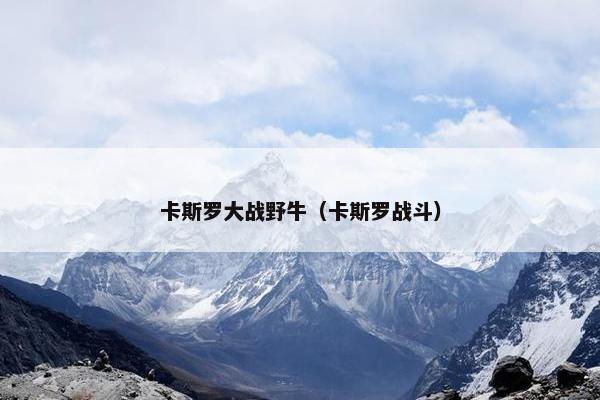 卡斯罗大战野牛（卡斯罗战斗）