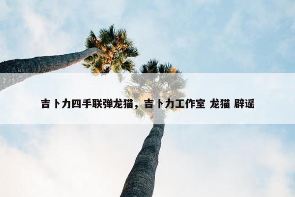 吉卜力四手联弹龙猫，吉卜力工作室 龙猫 辟谣