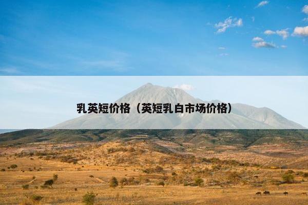 乳英短价格（英短乳白市场价格）