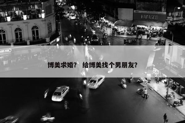 博美求婚？ 给博美找个男朋友？
