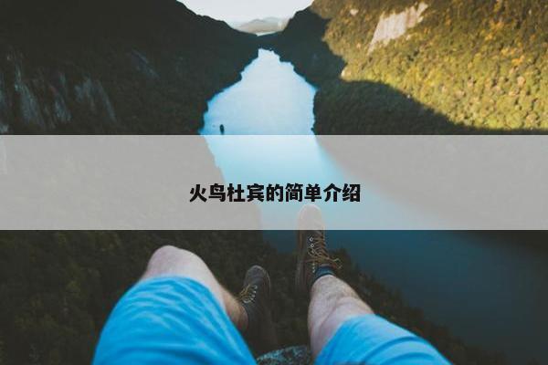 火鸟杜宾的简单介绍