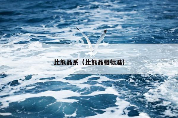 比熊品系（比熊品相标准）