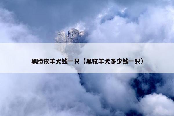 黑脸牧羊犬钱一只（黑牧羊犬多少钱一只）