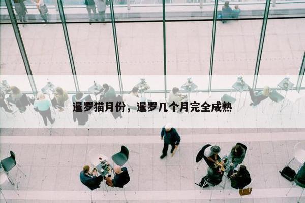 暹罗猫月份，暹罗几个月完全成熟