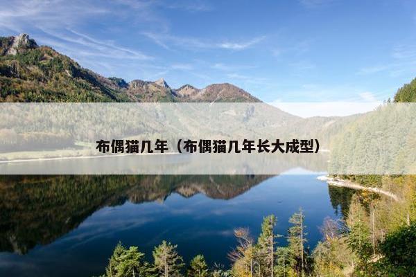 布偶猫几年（布偶猫几年长大成型）