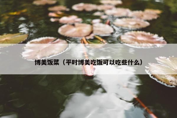 博美饭菜（平时博美吃饭可以吃些什么）