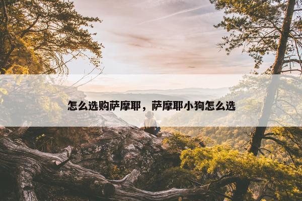 怎么选购萨摩耶，萨摩耶小狗怎么选